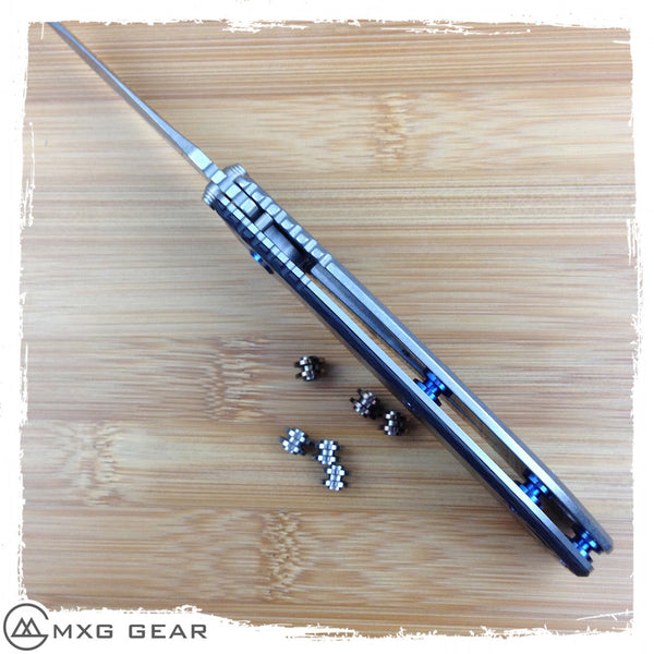 Custom Made Titanium Standoffs, LBS, Scale Screws and Clip for